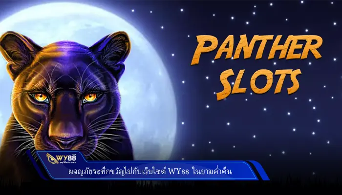 ผจญภัยระทึกขวัญไปกับแอดมิน barza222 ในยามค่ำคืน PANTHER MOON